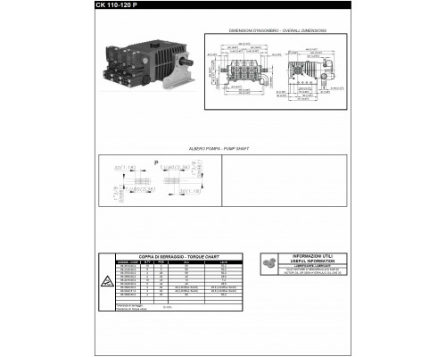 Насос CK 110 P