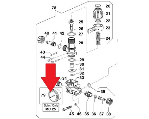 Манометр 25 бар; O63; вх.сзади Ш1/4 насоса MC